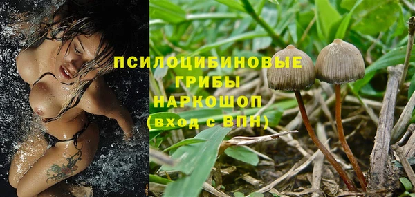 прущая мука Бородино