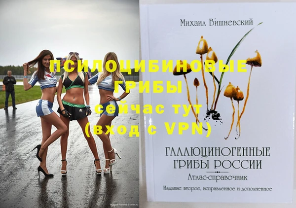 ALPHA PVP Богданович