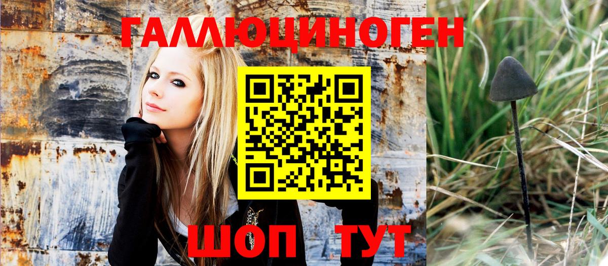 Псилоцибиновые грибы Psilocybine cubensis  Вход с VPN  купить закладку  Гай 