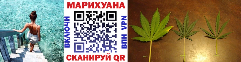 Канабис ГИДРОПОН  Гай 